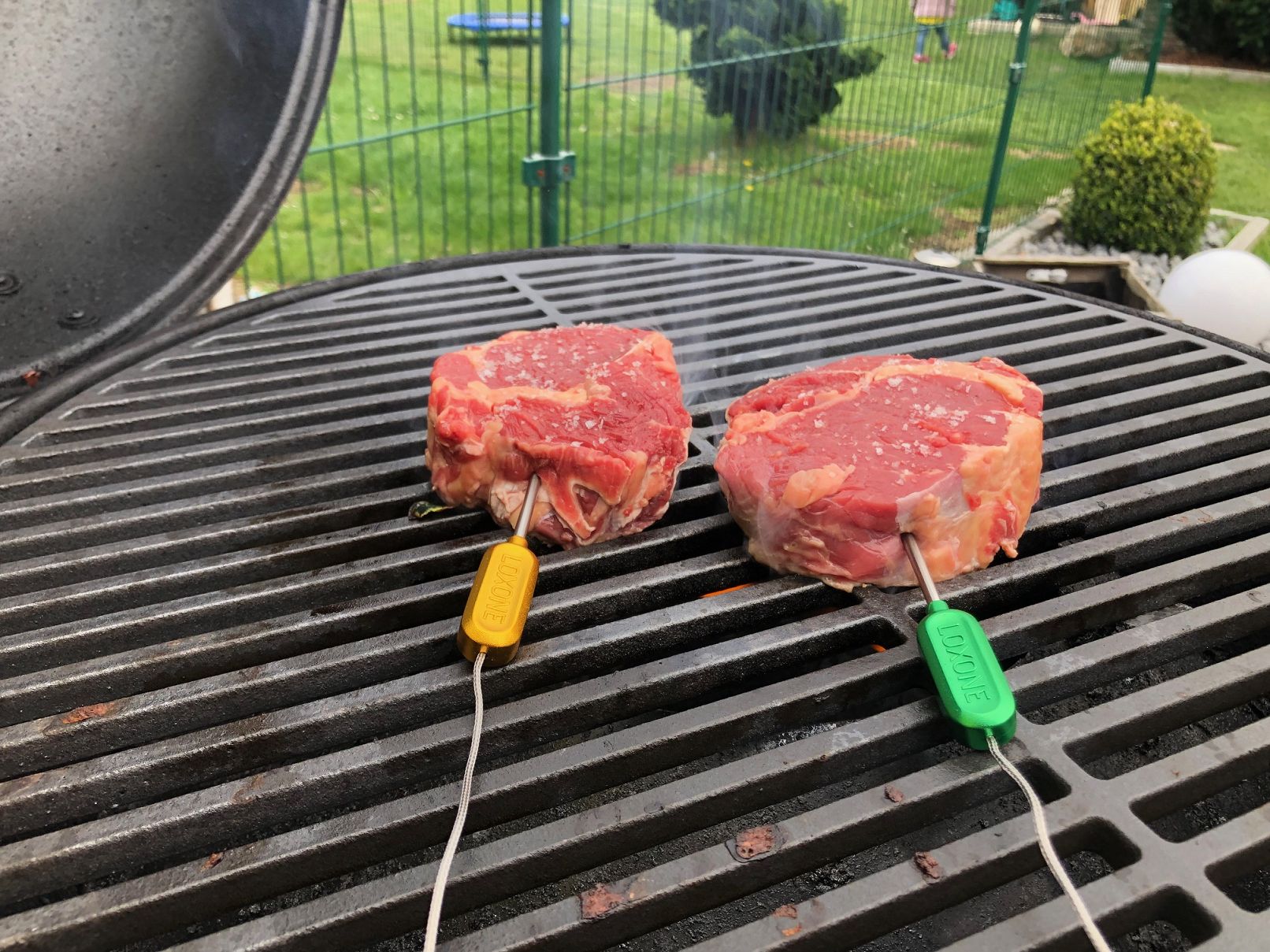 ecopower – Loxone Touch Grill (4)