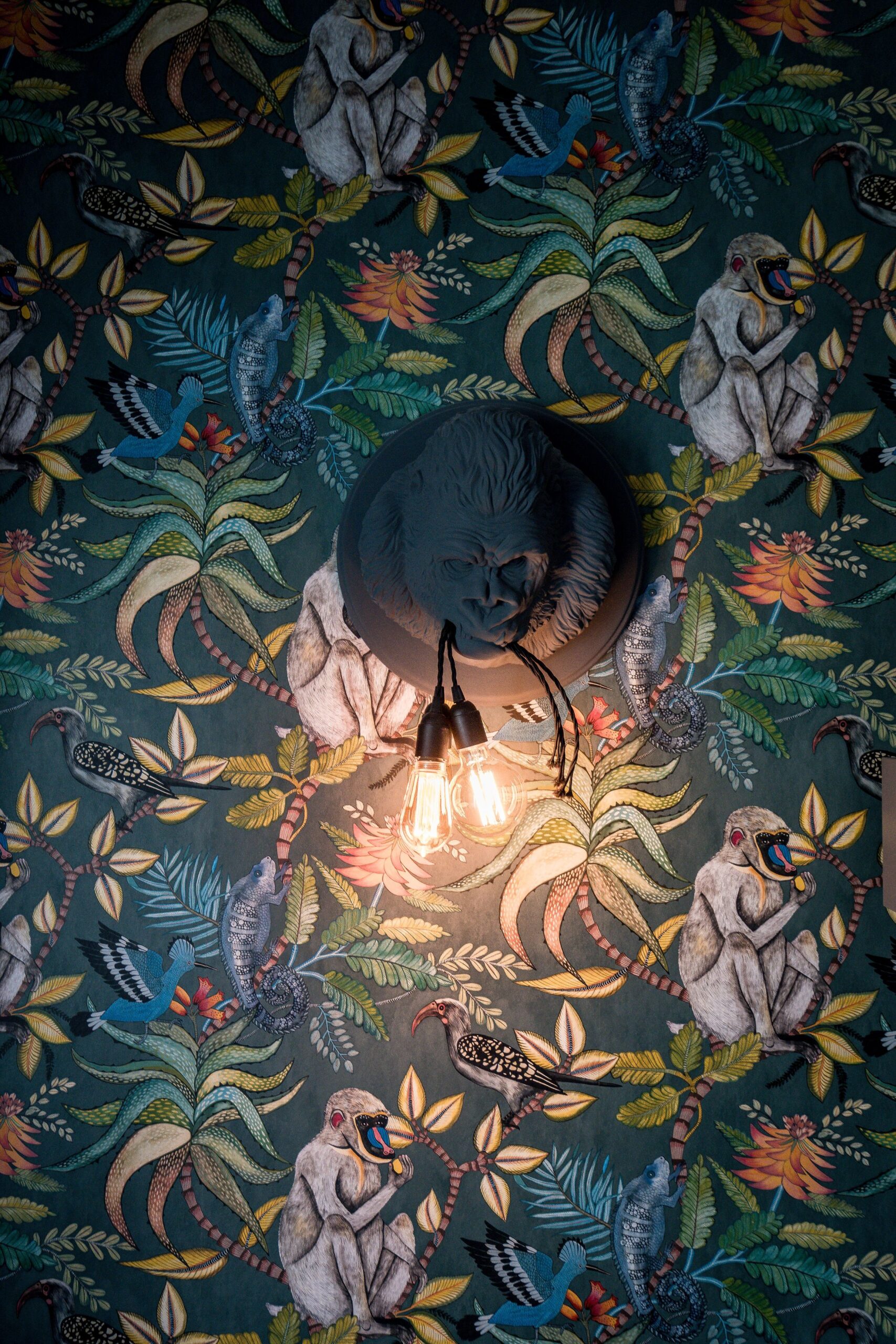 k-2022-08-10_Ecopower_177